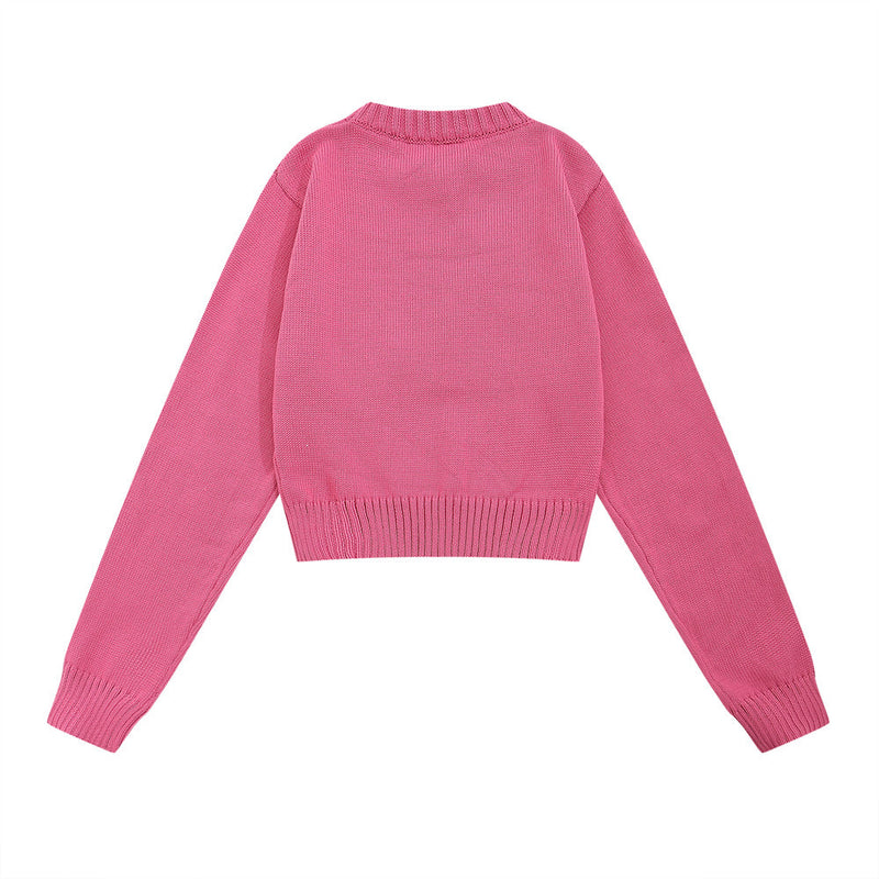 Women Sweater Autumn Women's Casual round Neck Sweater
