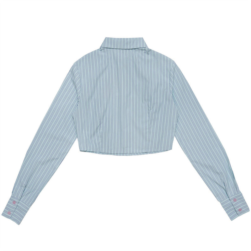 Women Long Sleeve Shirt Women's Spring and Autumn Leisure Embroidered Short Long Sleeve Shirt with Vertical Stripes