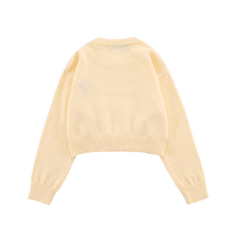 Women Sweater Women's Autumn Crew Neck Long Sleeve Casual