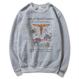 2024Care of Magical Creatures Sweatshirt Magic School