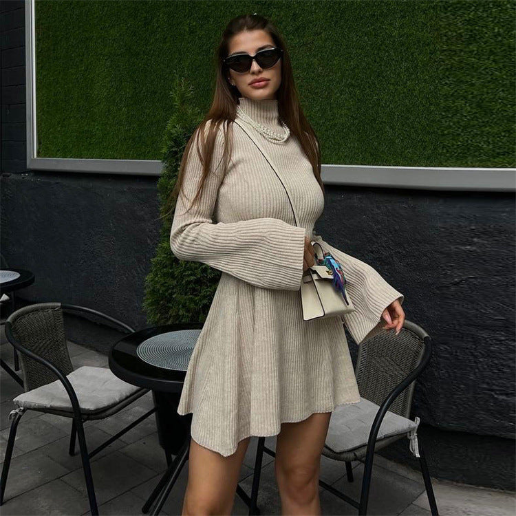 Women Sweater Dress Long Sleeve Knitted Turtleneck Dress Autumn and Winter Sheath
