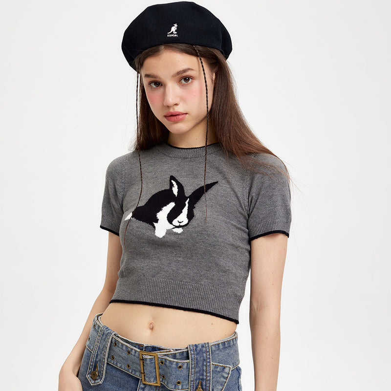 Women Sweater Sweater with Short Sleeves Women's Spring/Summer round Neck