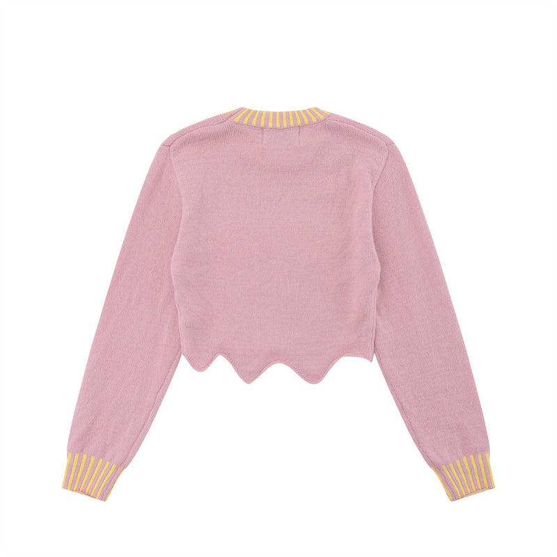 Women Sweater Short Sweater for Girls Autumn Crew Neck Casual Long Sleeve Sweater