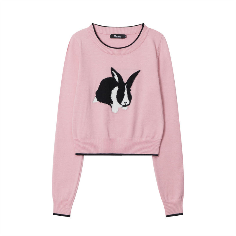 Women Sweater Girls' Autumn Crew Neck Long Sleeve Casual